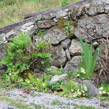 Casa vacanze Casa Do Castanheiro *