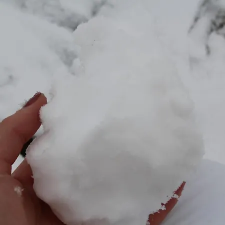 Casa Do Castanheiro Outeiro (Tras-Os-Montes)