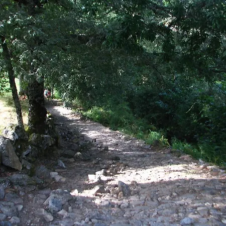 Casa Do Castanheiro Outeiro (Tras-Os-Montes)