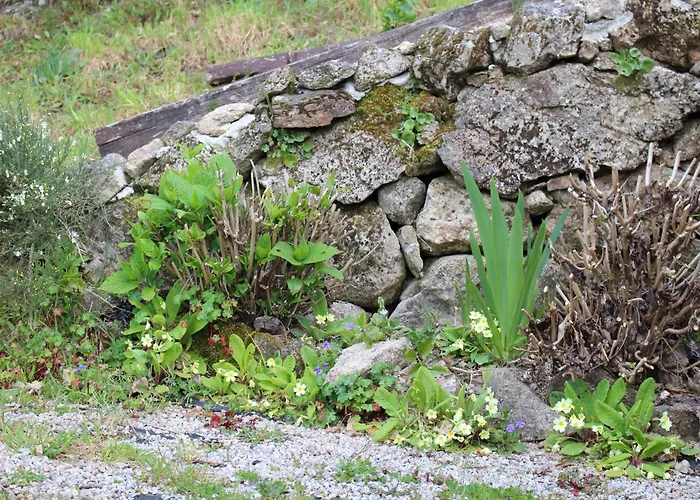 Nyaraló Casa Do Castanheiro *