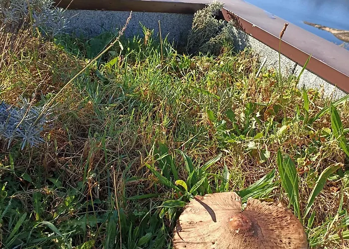 Casa Do Castanheiro Nyaraló Outeiro