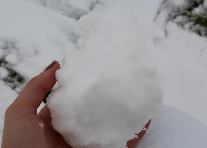 Casa Do Castanheiro Outeiro