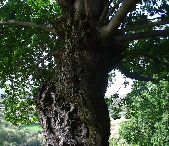 Prázdninový dům Casa Do Castanheiro *