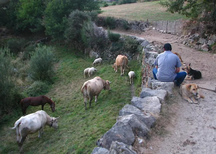 Casa Do Castanheiro * Outeiro (Tras-Os-Montes)