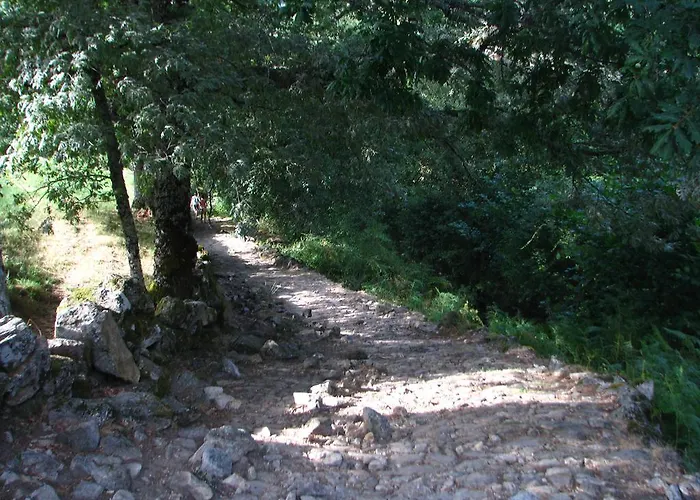 Casa Do Castanheiro Outeiro