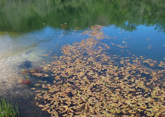 Casa Do Castanheiro Outeiro